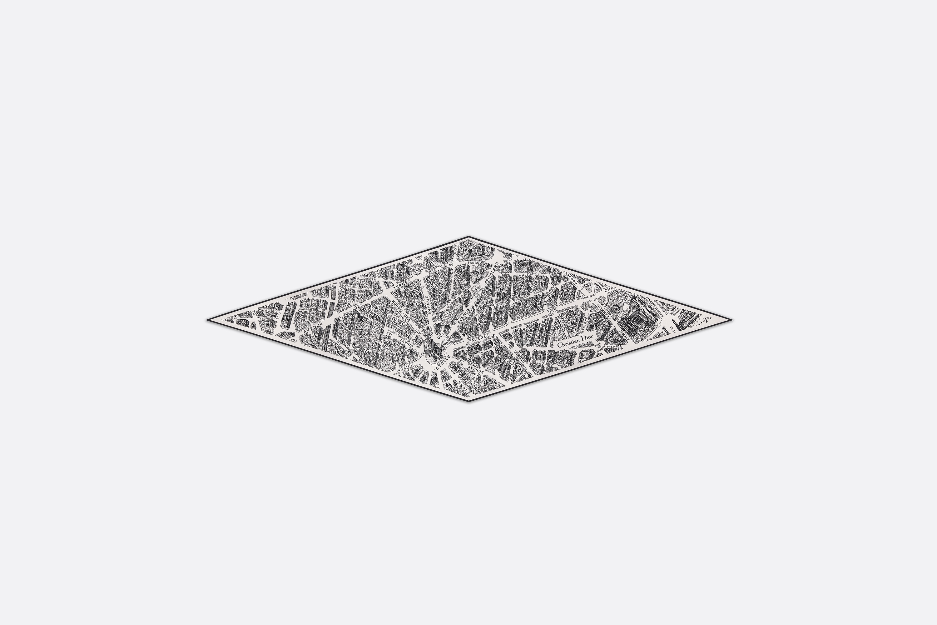 Dior Plan de Paris Dior Diamond | REVERSIBLE