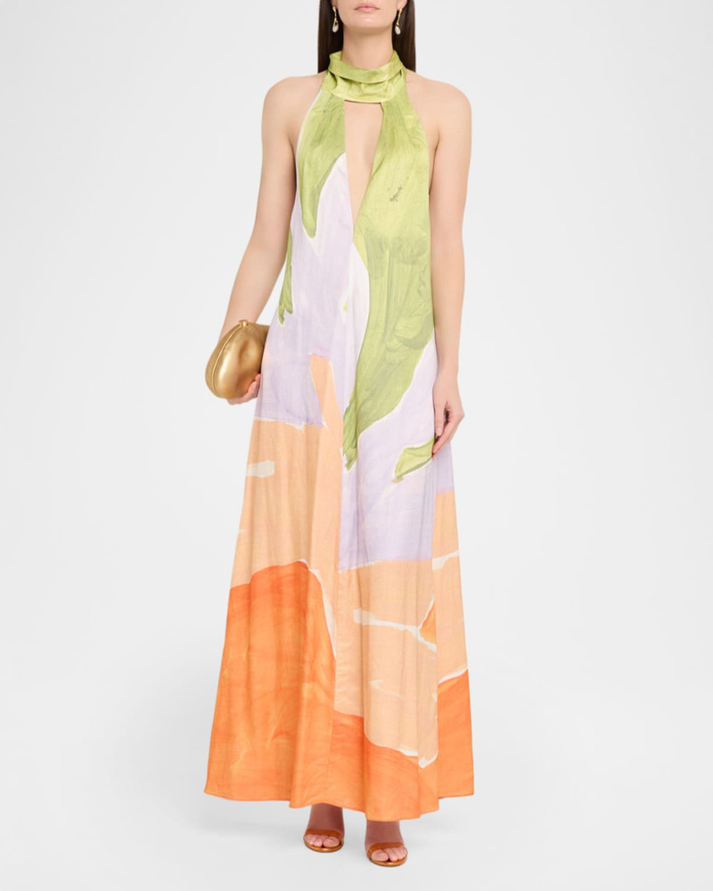 SIGNIFICANT OTHER Malina Printed Halter Maxi Dress outlook