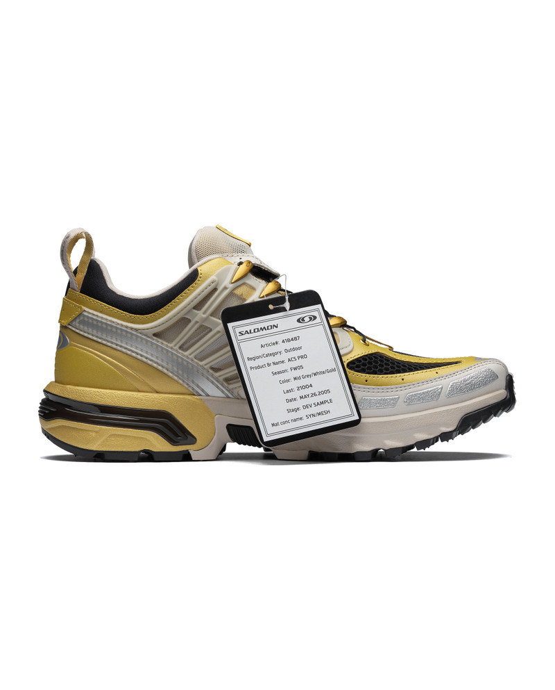 ACS PRO 20 Years Anniversary Golden Archive 3