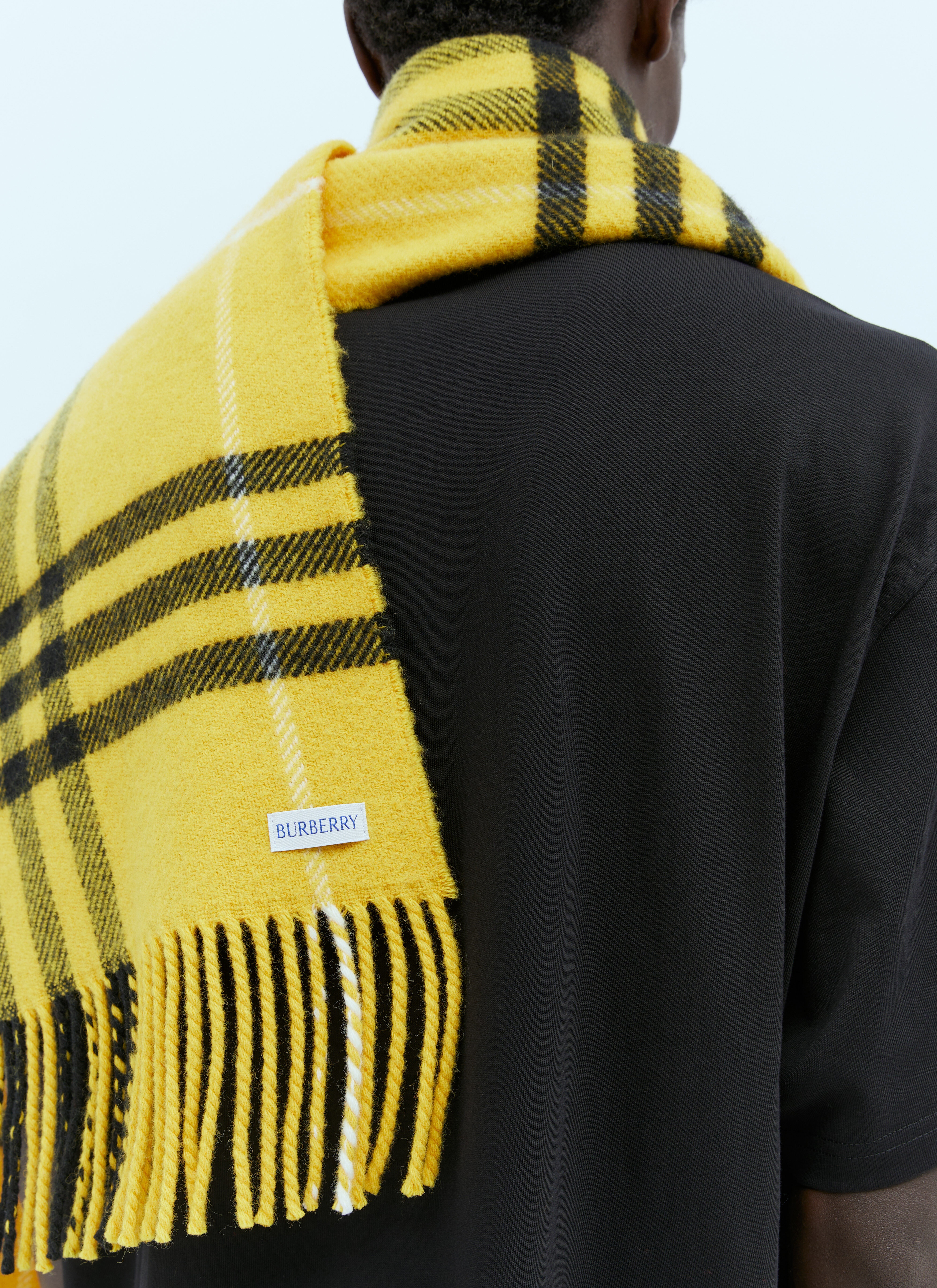 Check Wool Cashmere Scarf - 2