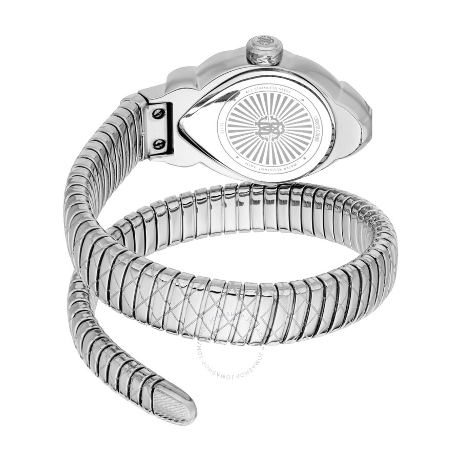 Roberto Cavalli Fiaba Silver-tone Dial Ladies Watch RC5L110M0015 - 2