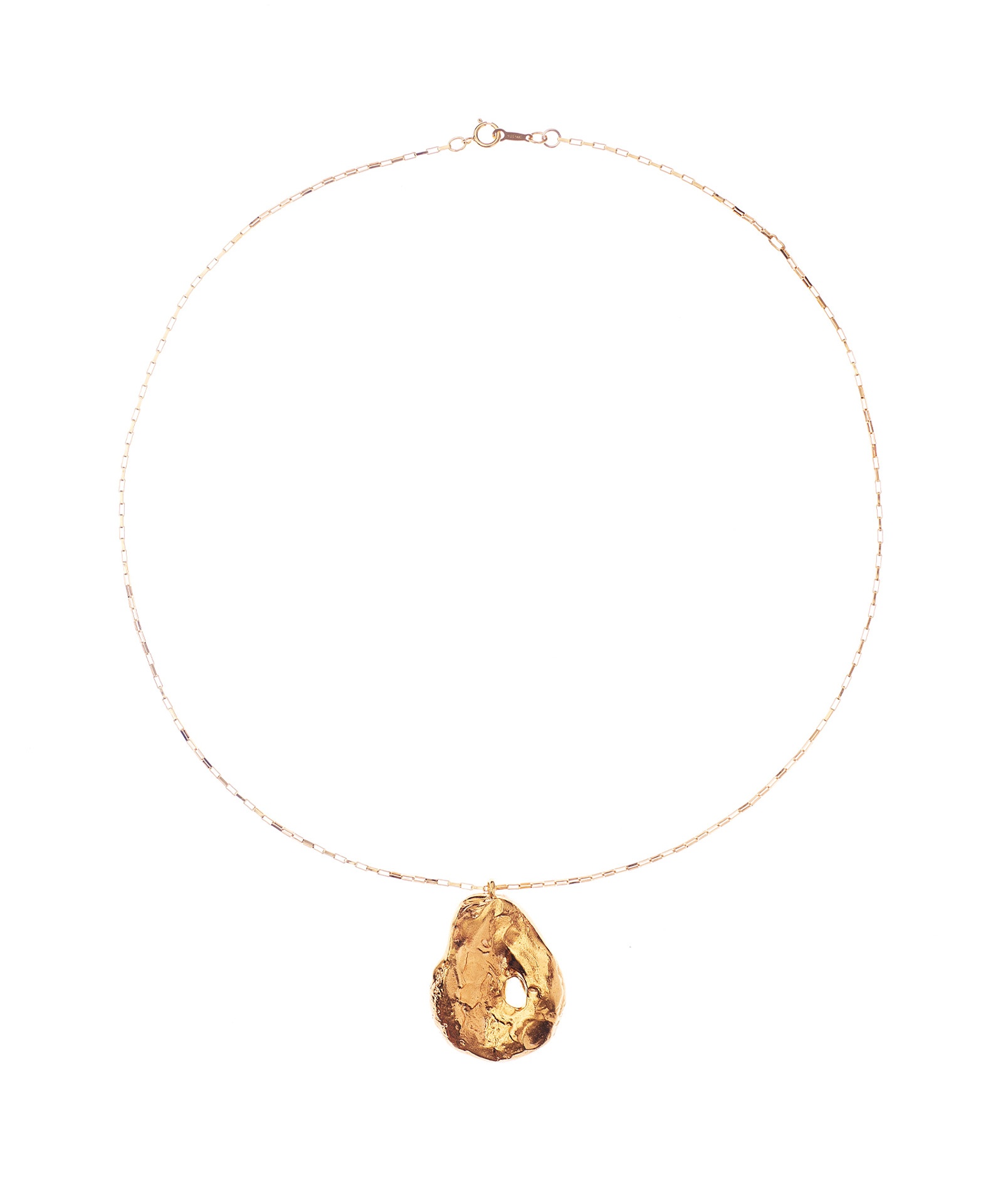ALIGHIERI - The Forbidden Community Necklace - 1