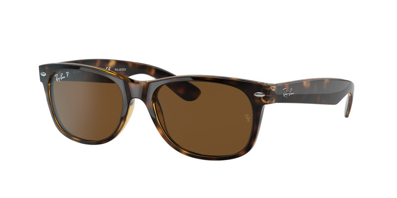 NEW WAYFARER CLASSIC 3