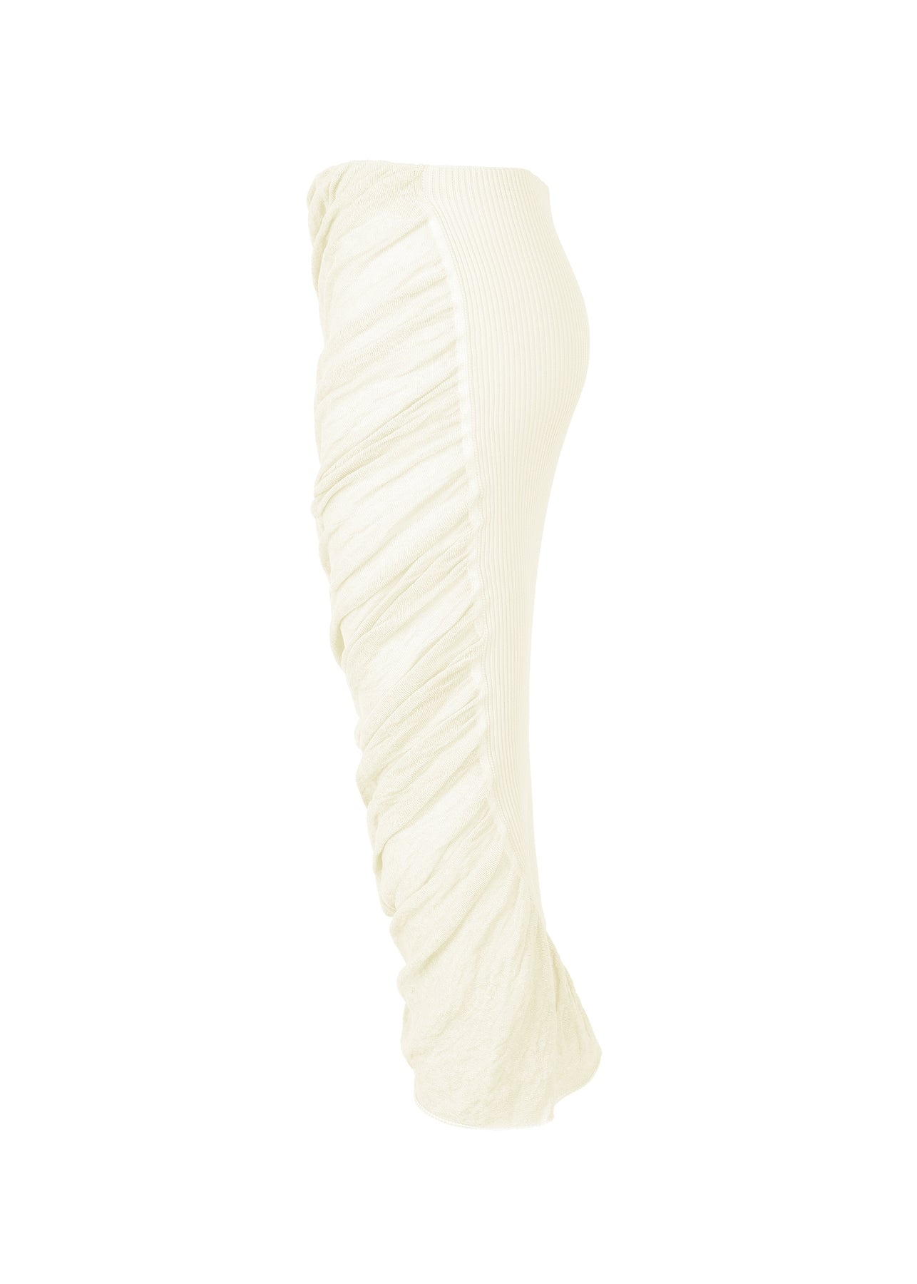 AMBIGUOUS SKIRT - 2