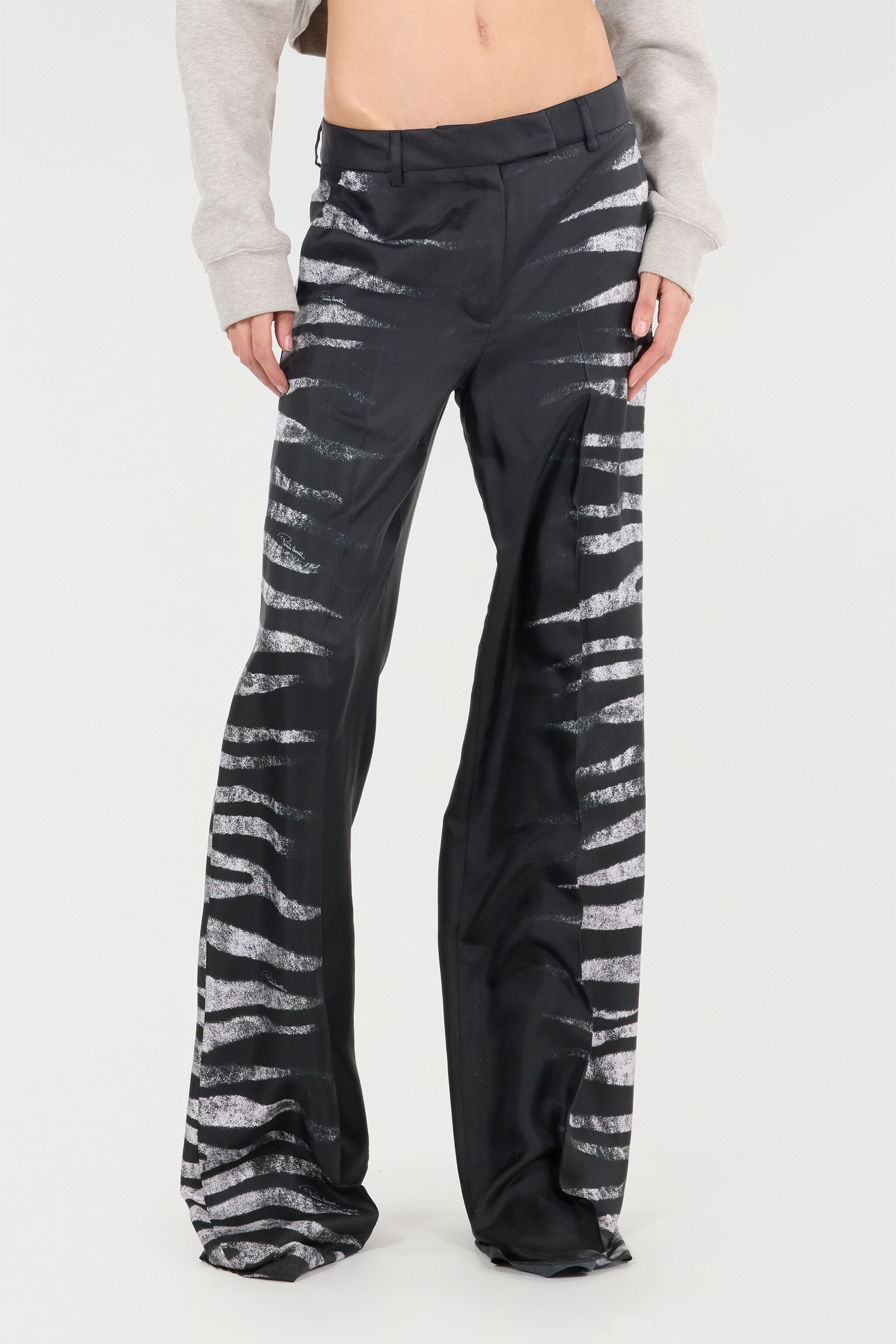 Pants With Side Zebra Print - 3