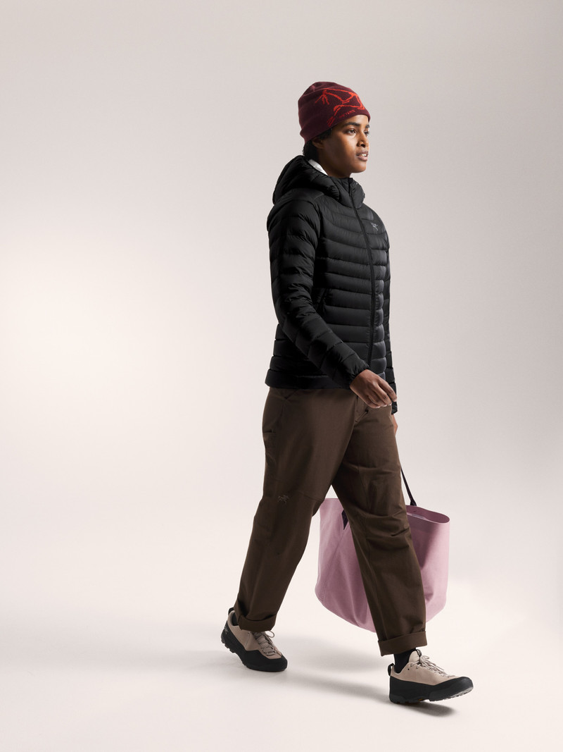 Arc'teryx Cerium Hoody outlook