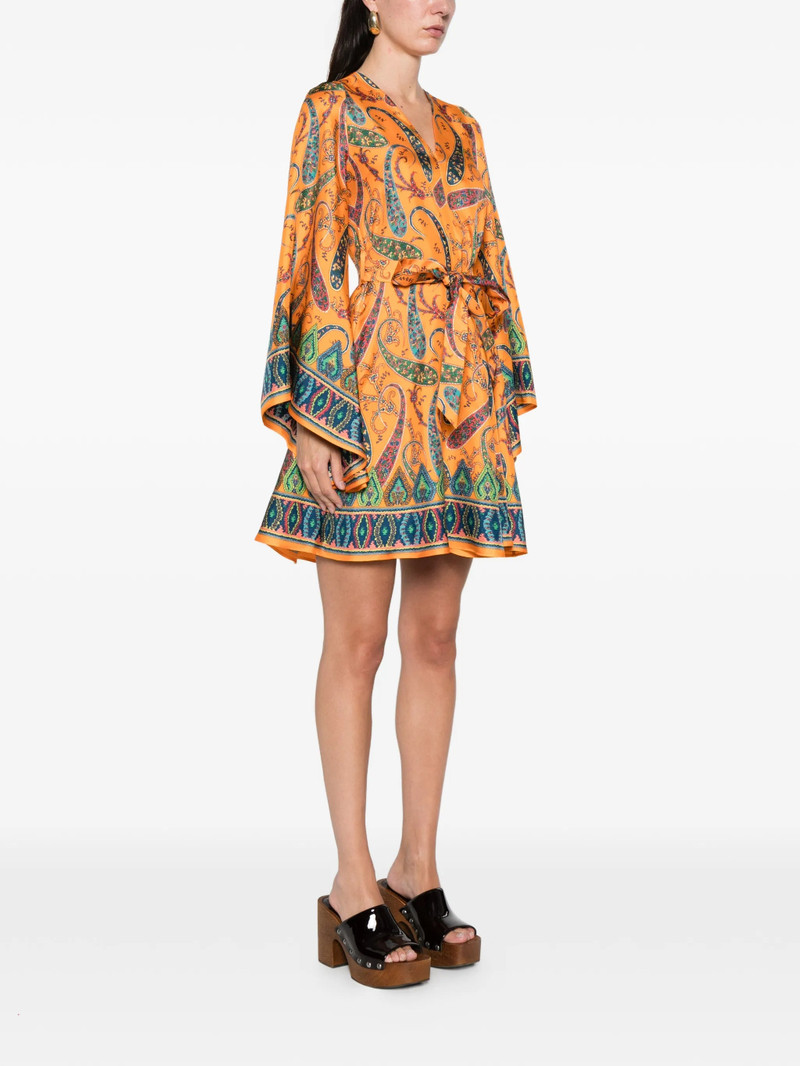 Etro Etro Dresses outlook