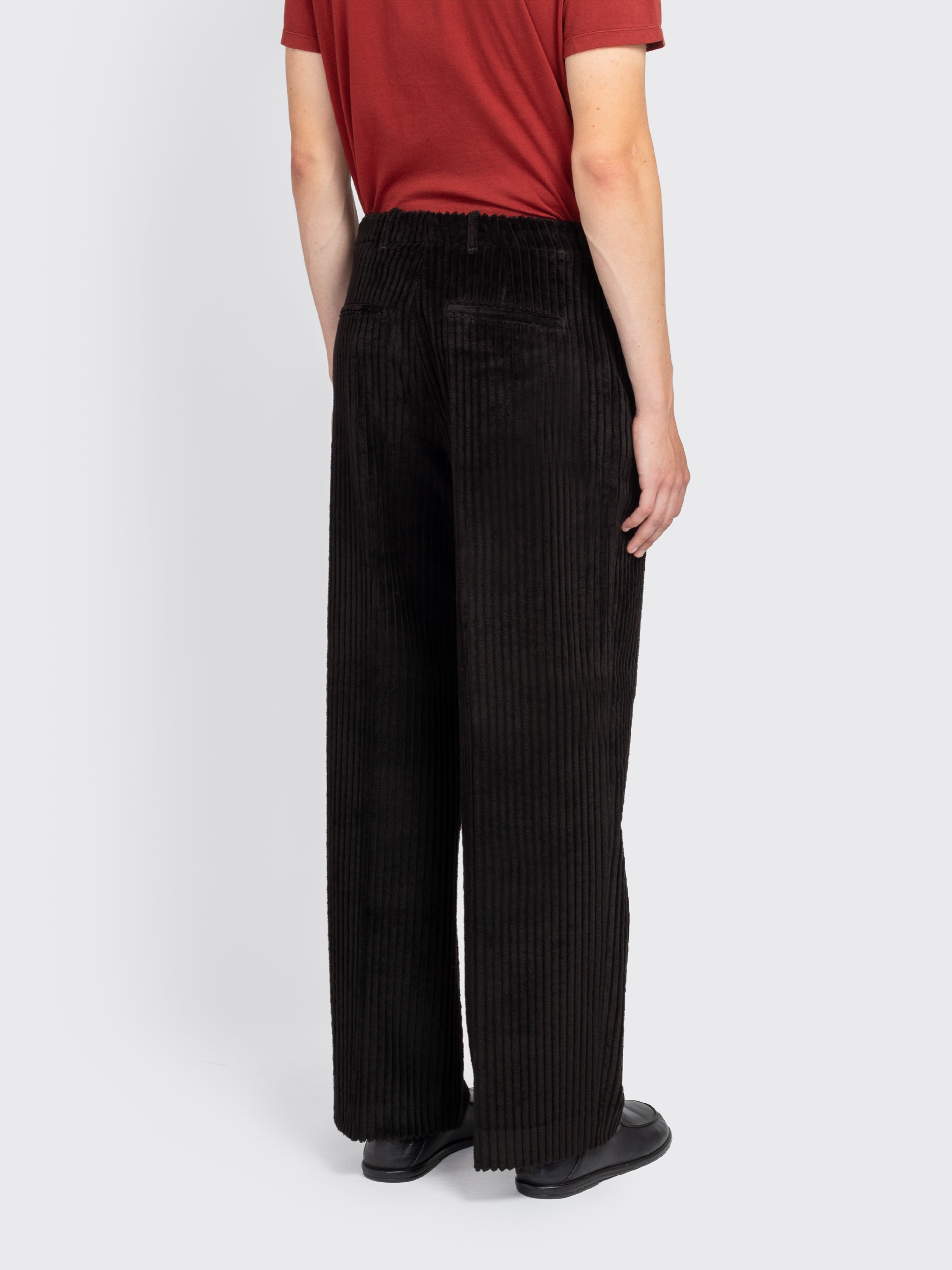 Borrowed Chino - 3