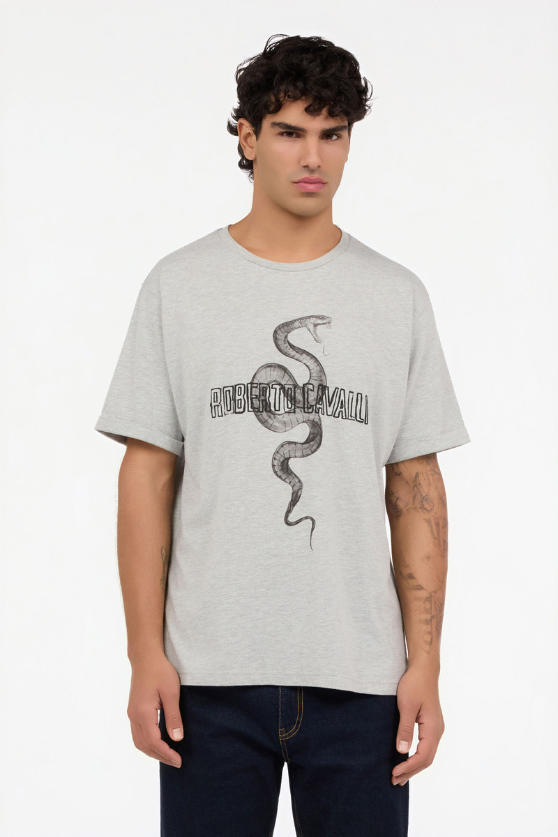 Grey Mélange T-Shirt with Snake and Logo 3