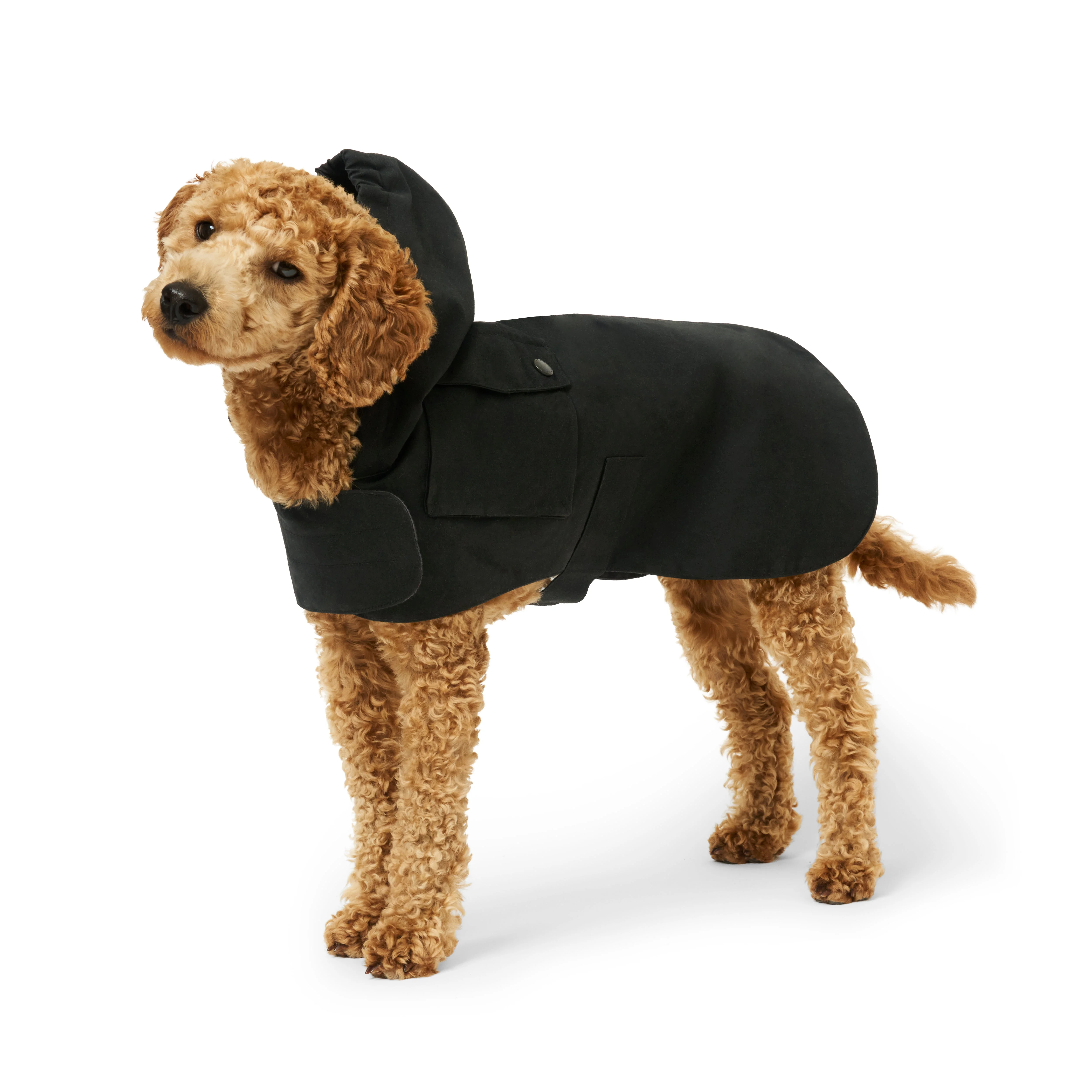 PALACE BARBOUR DOG COAT BLACK - 1