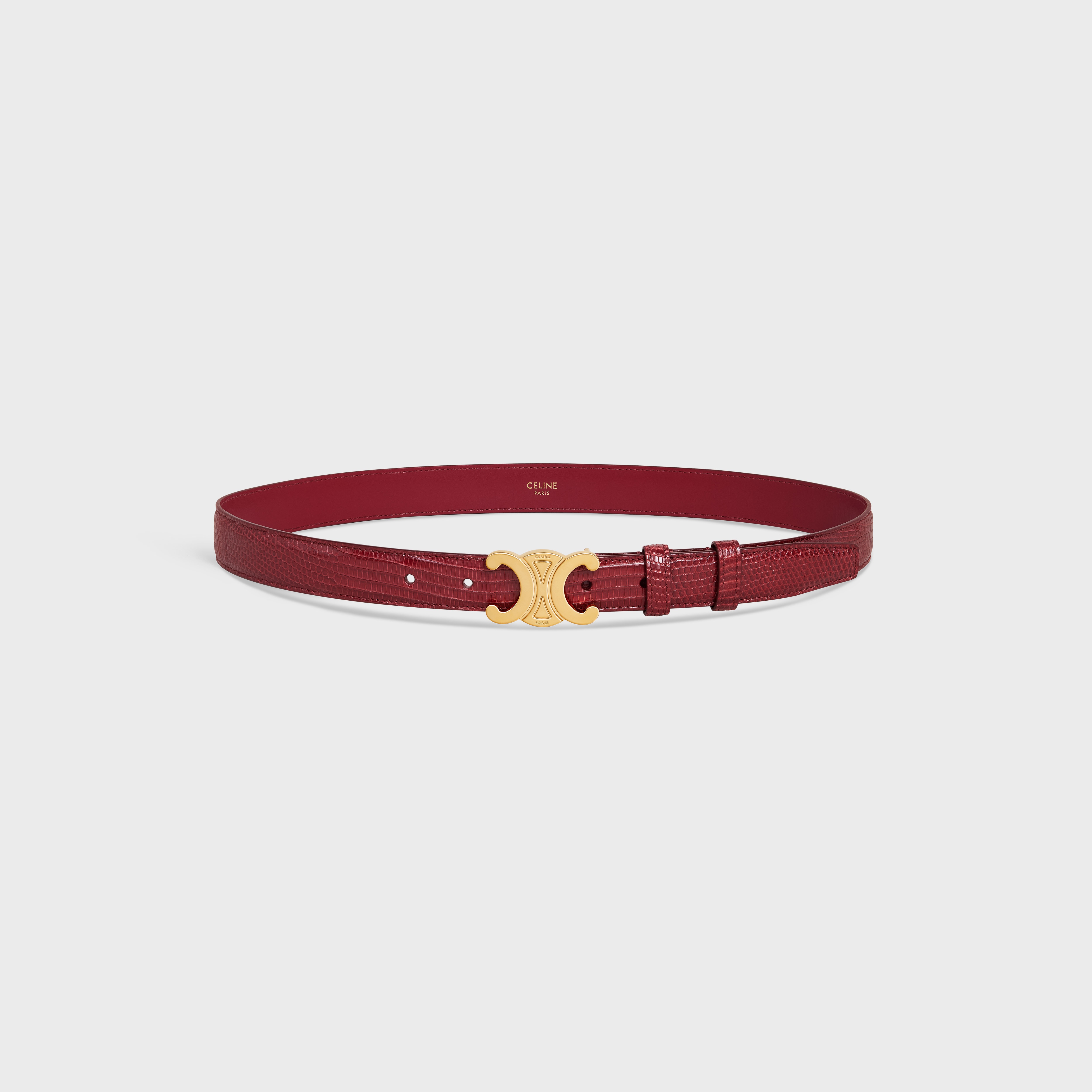 Medium Triomphe Belt in Lizard - 3