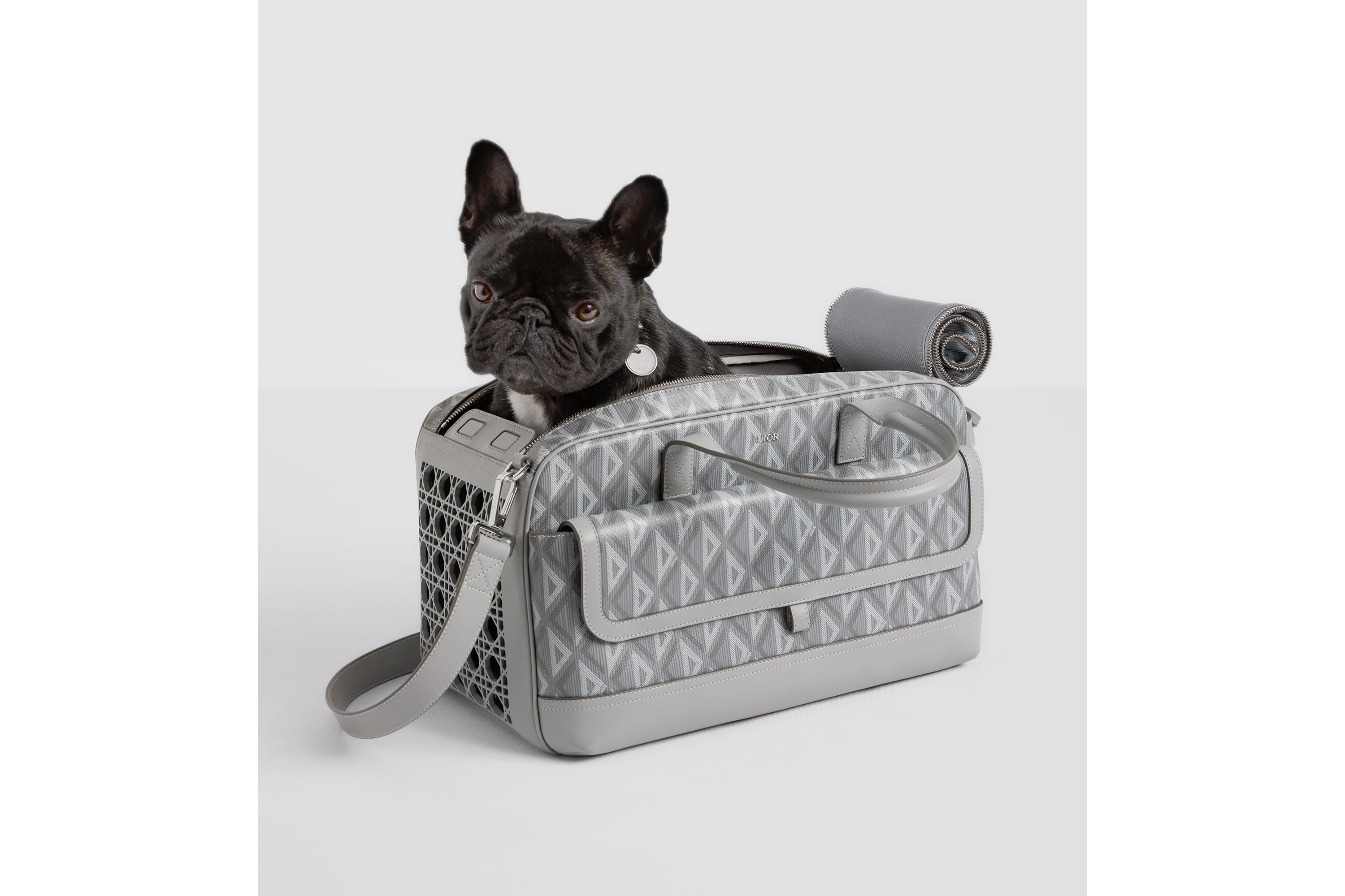Dior Hit The Road Pet Carrier Bag - 2
