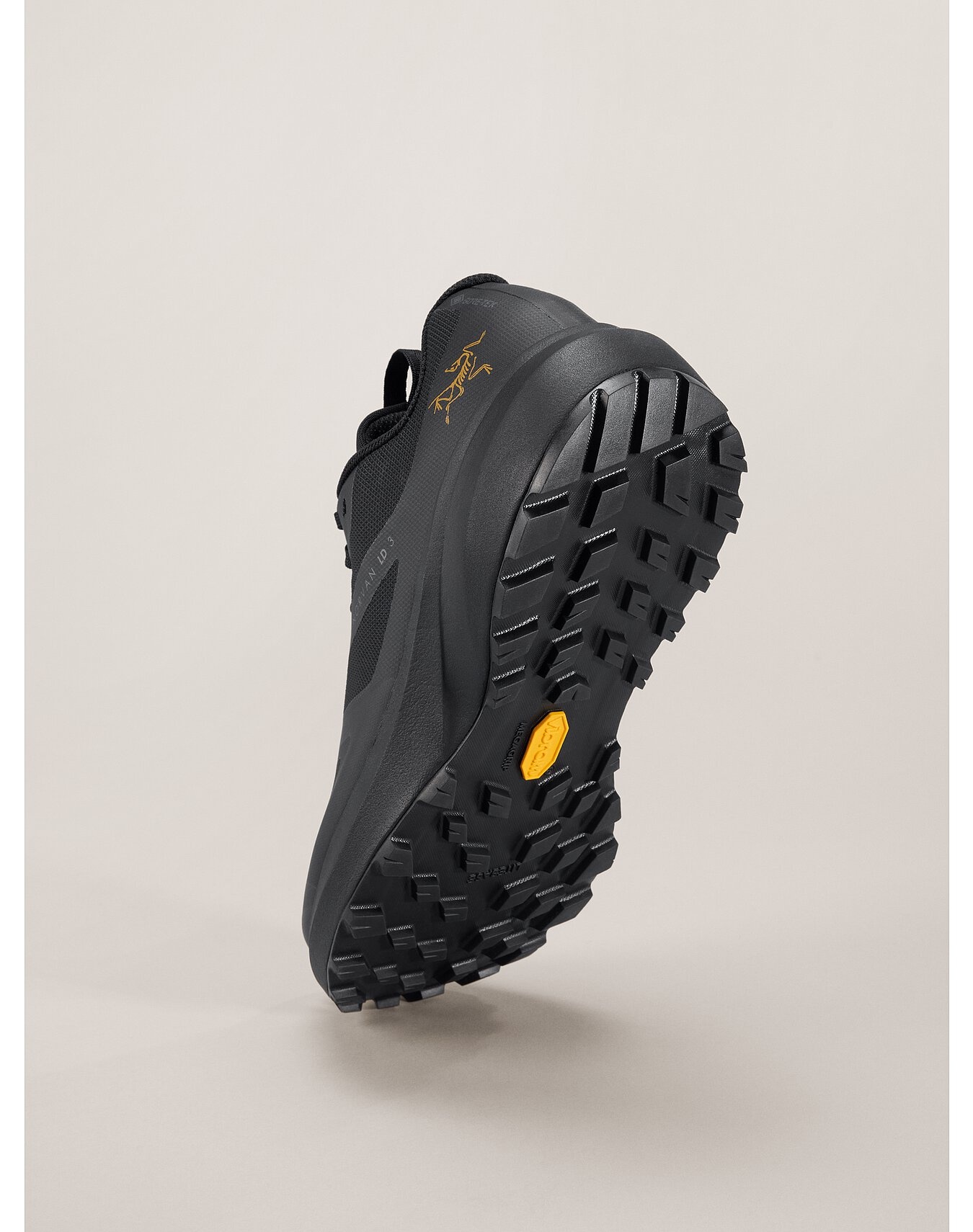 Norvan LD 3 GTX Shoe - 4