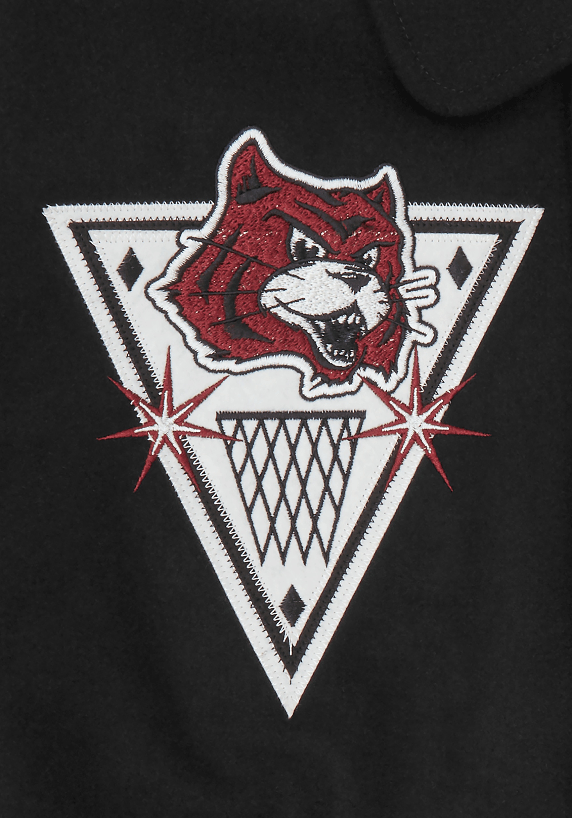ALUMNI COLLARED VARSITY JACKET - 7