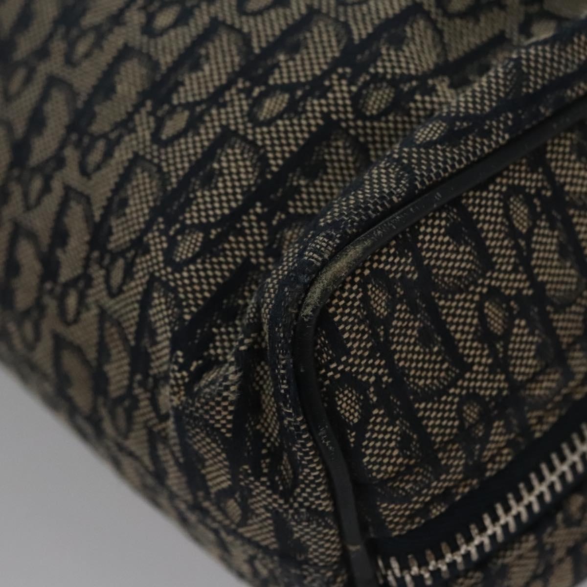 DIOR Trotter Canvas Hand Bag Navy - 13