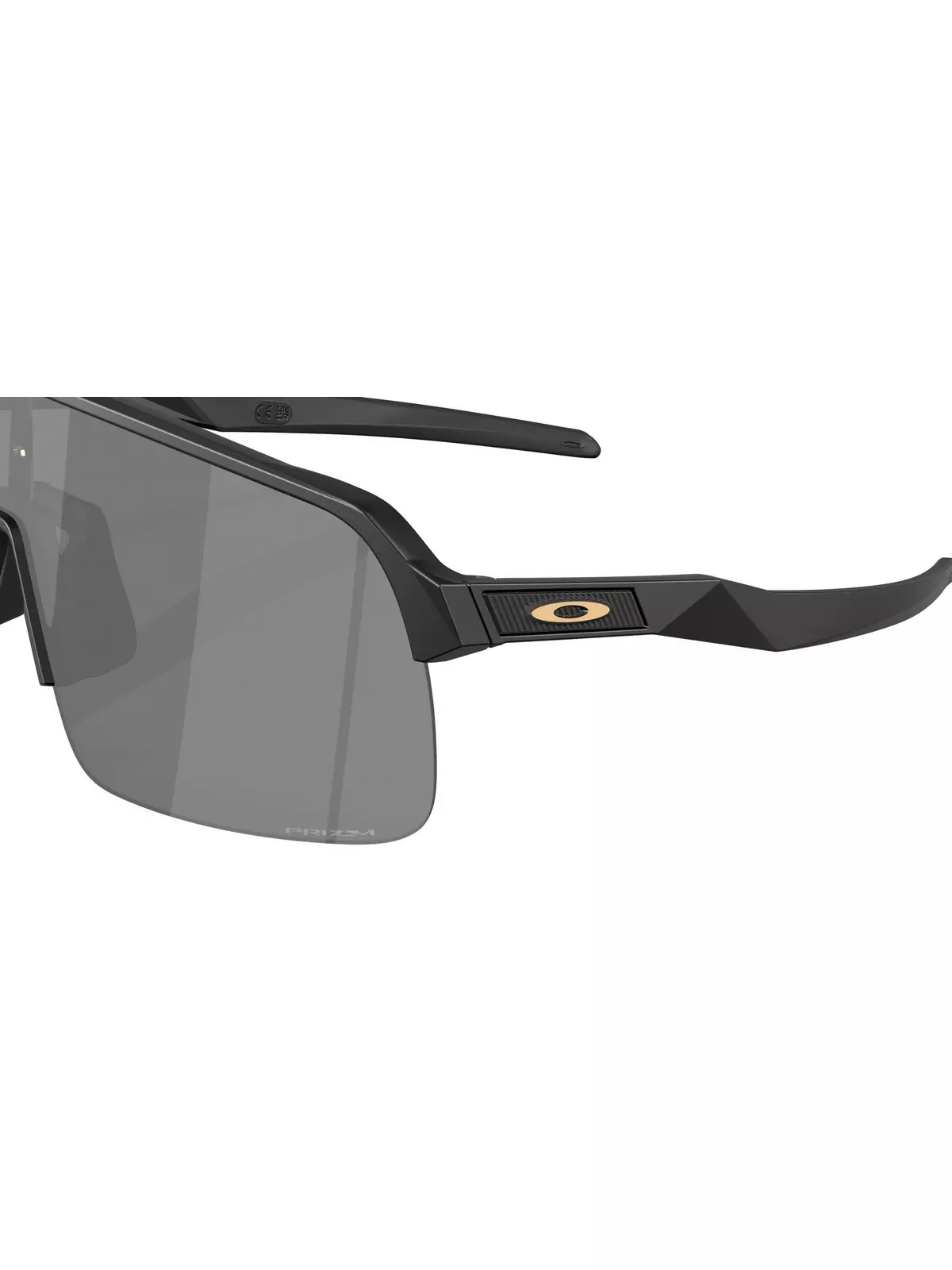 Sutro Lite Prizm Black Sunglasses - Matte Black - 6