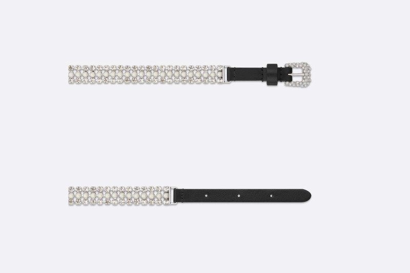 Dior Sparkle Belt 5