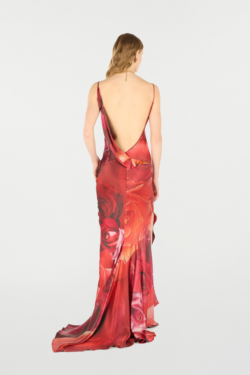 Long Dress With Rose Print And Bejeweled Tiger 4