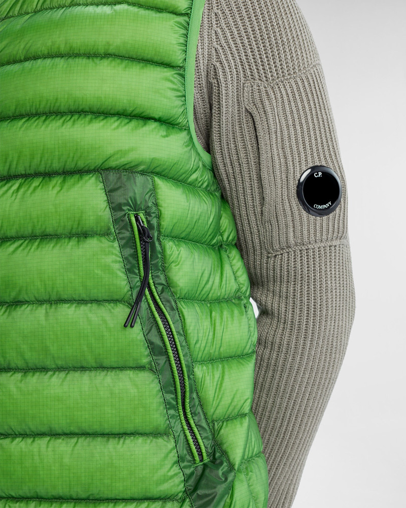 D.D. Shell Goggle Down Vest 4