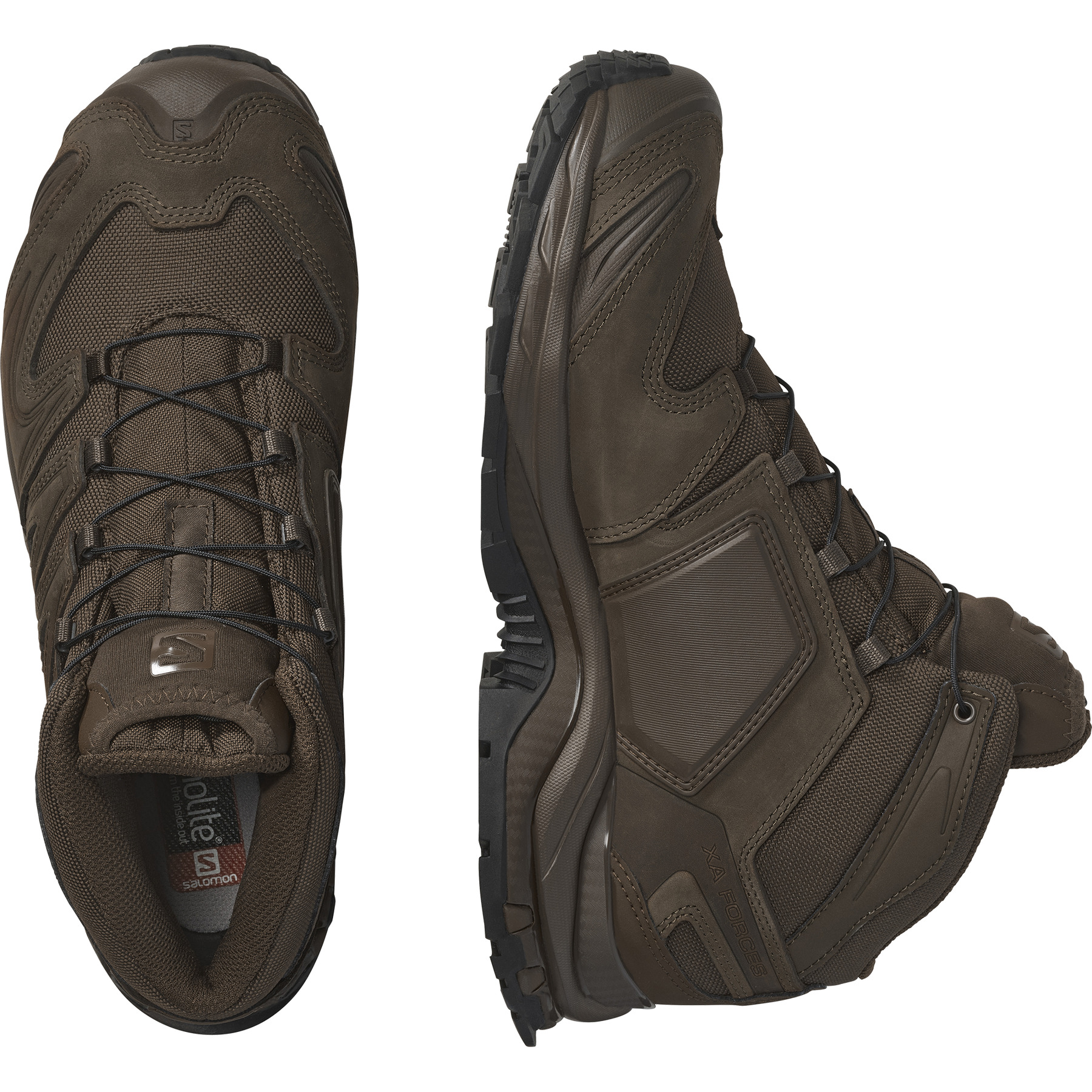 XA FORCES MID EN - 2