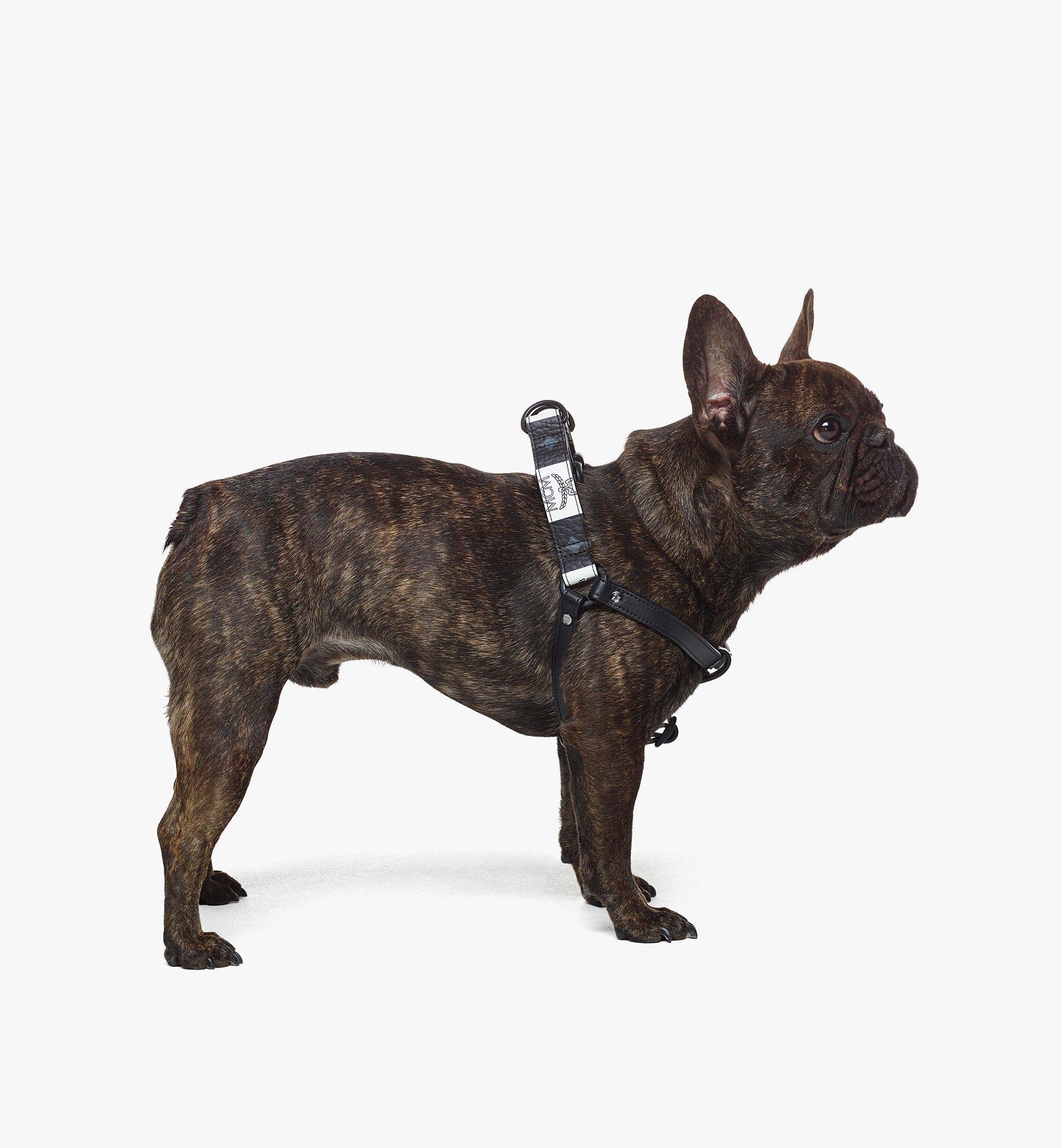 Pet Harness in Checkerboard Visetos - 2