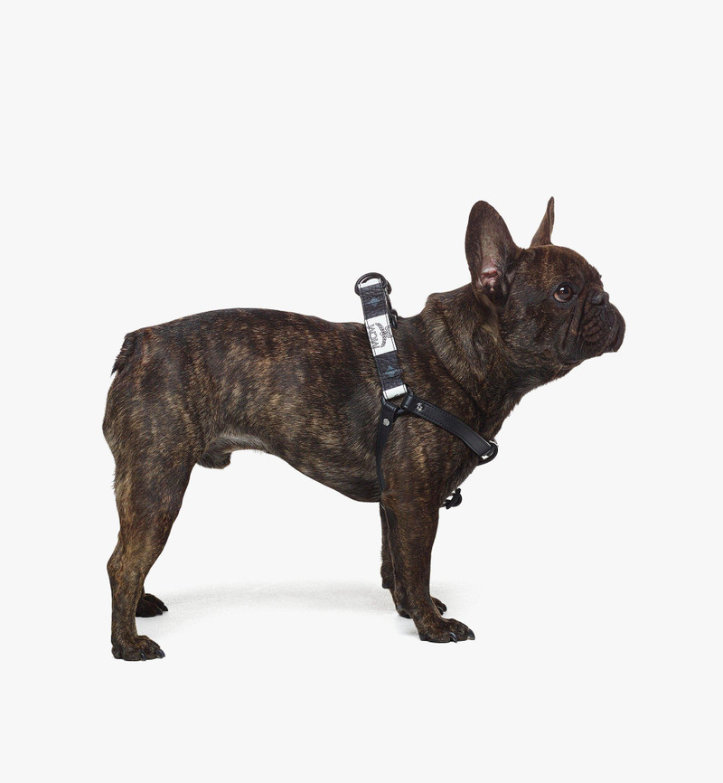 MCM Pet Harness in Checkerboard Visetos outlook