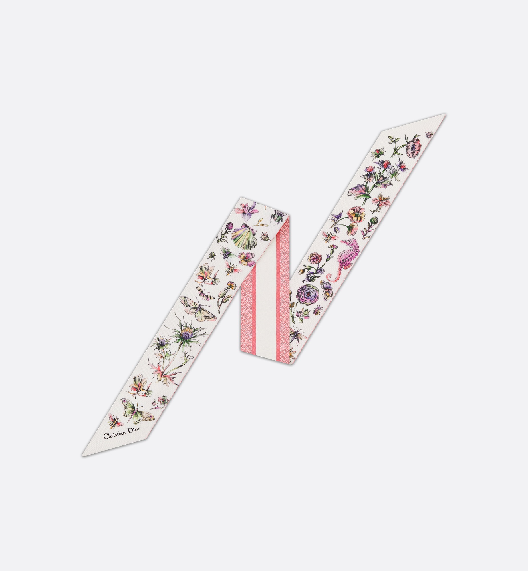 Dior Cabinet de Curiosités Mitzah Scarf - 1