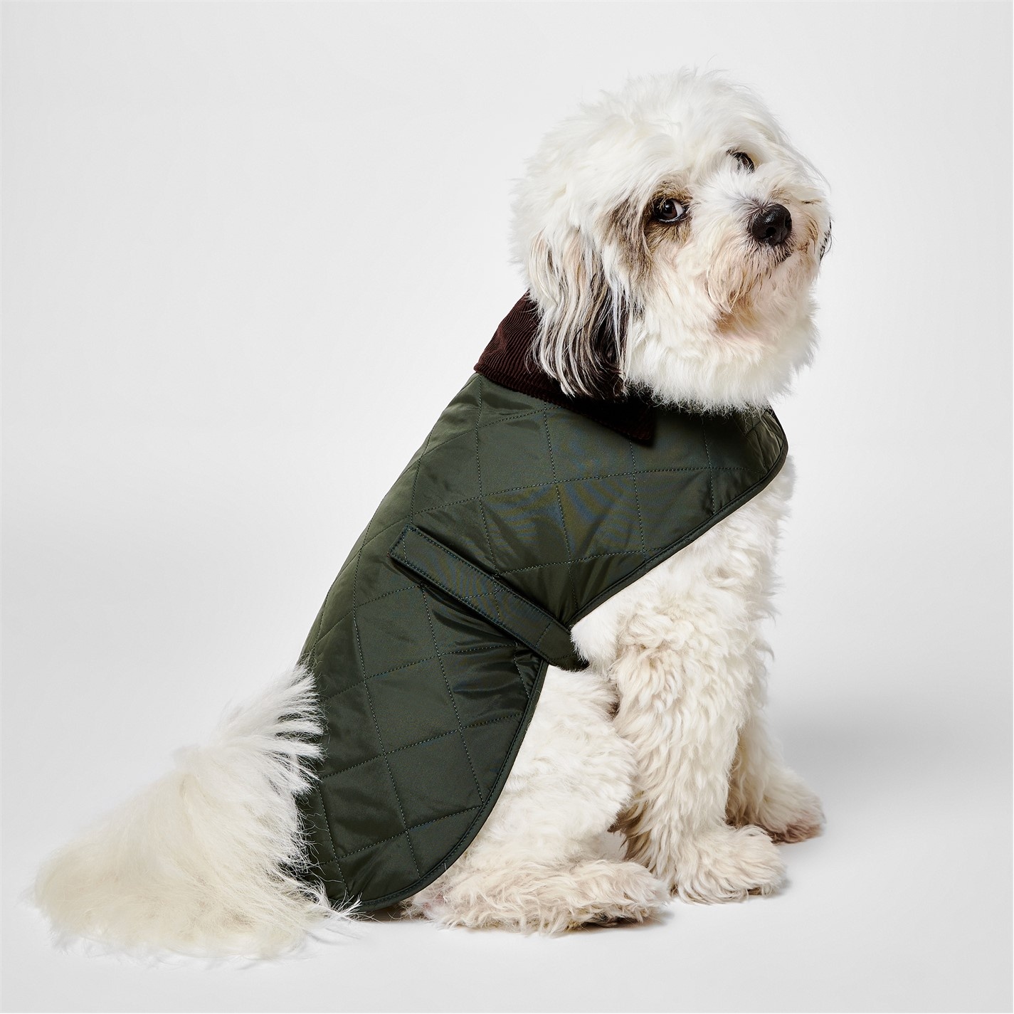 QUILTED DOG COAT - 2
