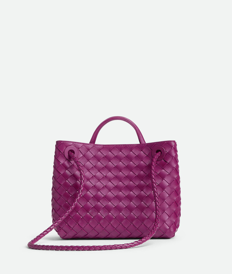 Bottega Veneta Small Andiamo outlook