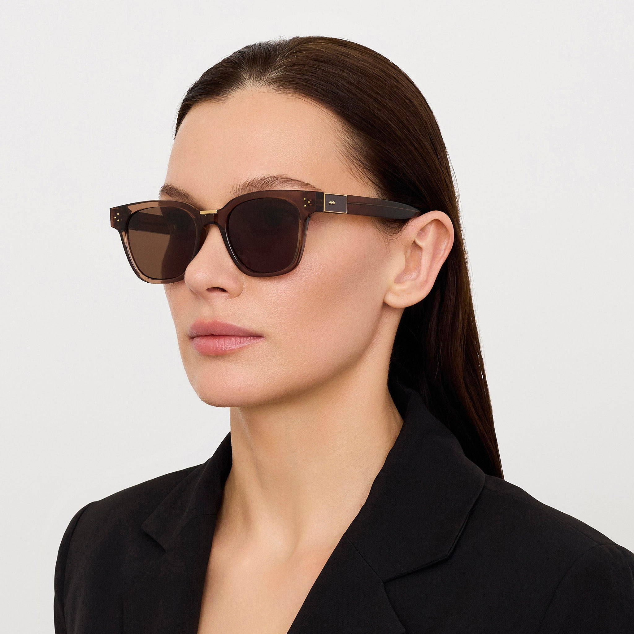 Sanchez Sunglasses in Brown and Gold - 3