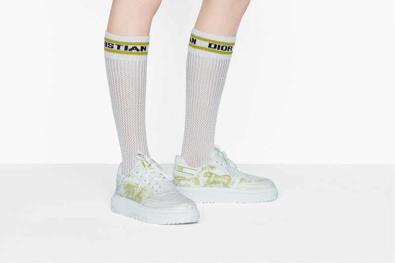 Dior Addict Sneaker 7