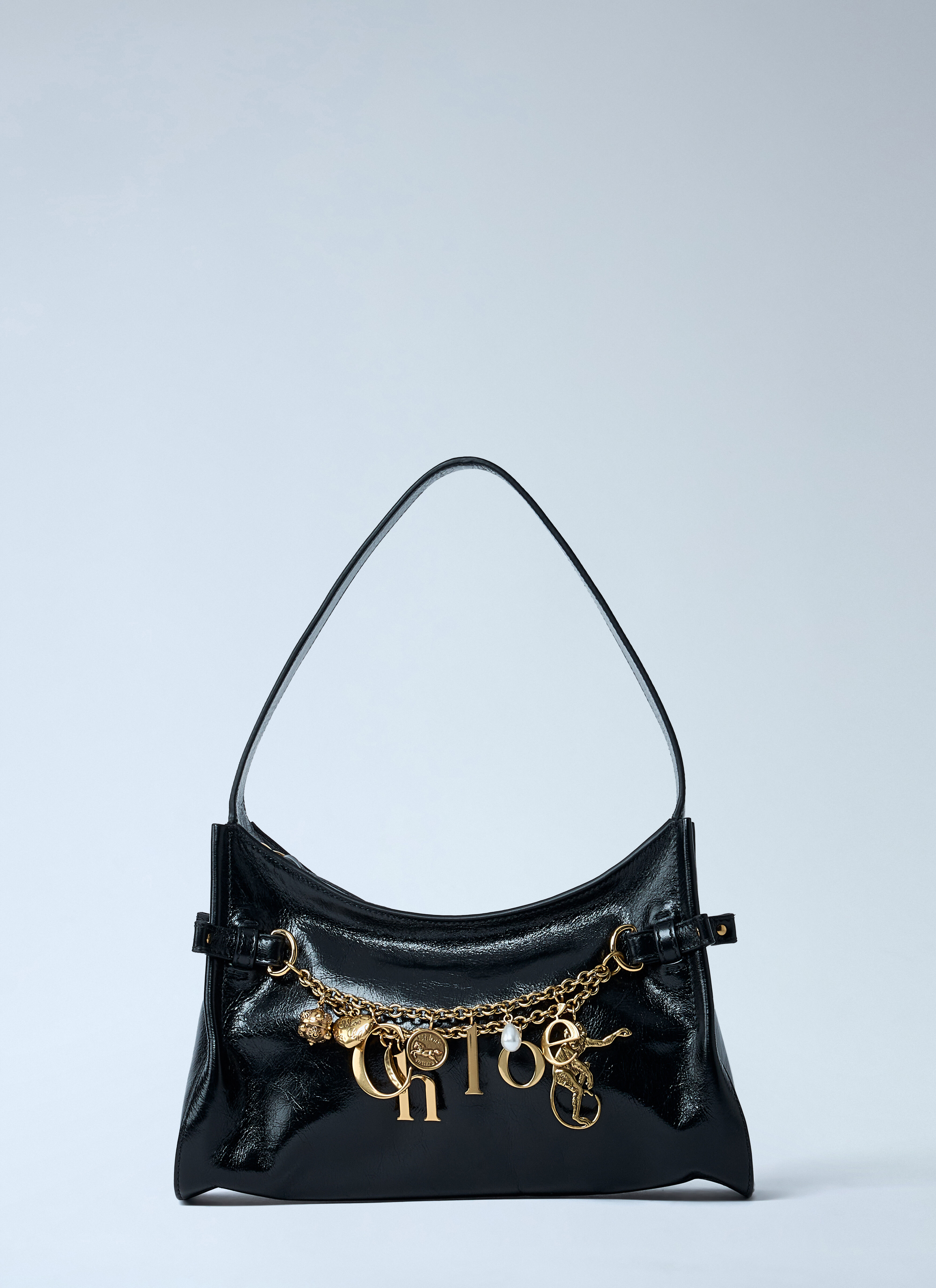 Charm Hobo Bag - 1