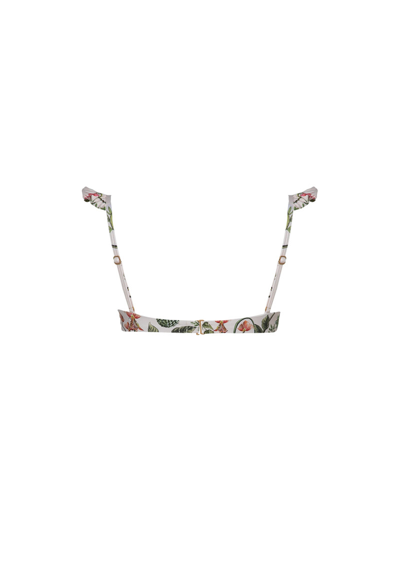Kiwi Cultivo Bikini Top 3