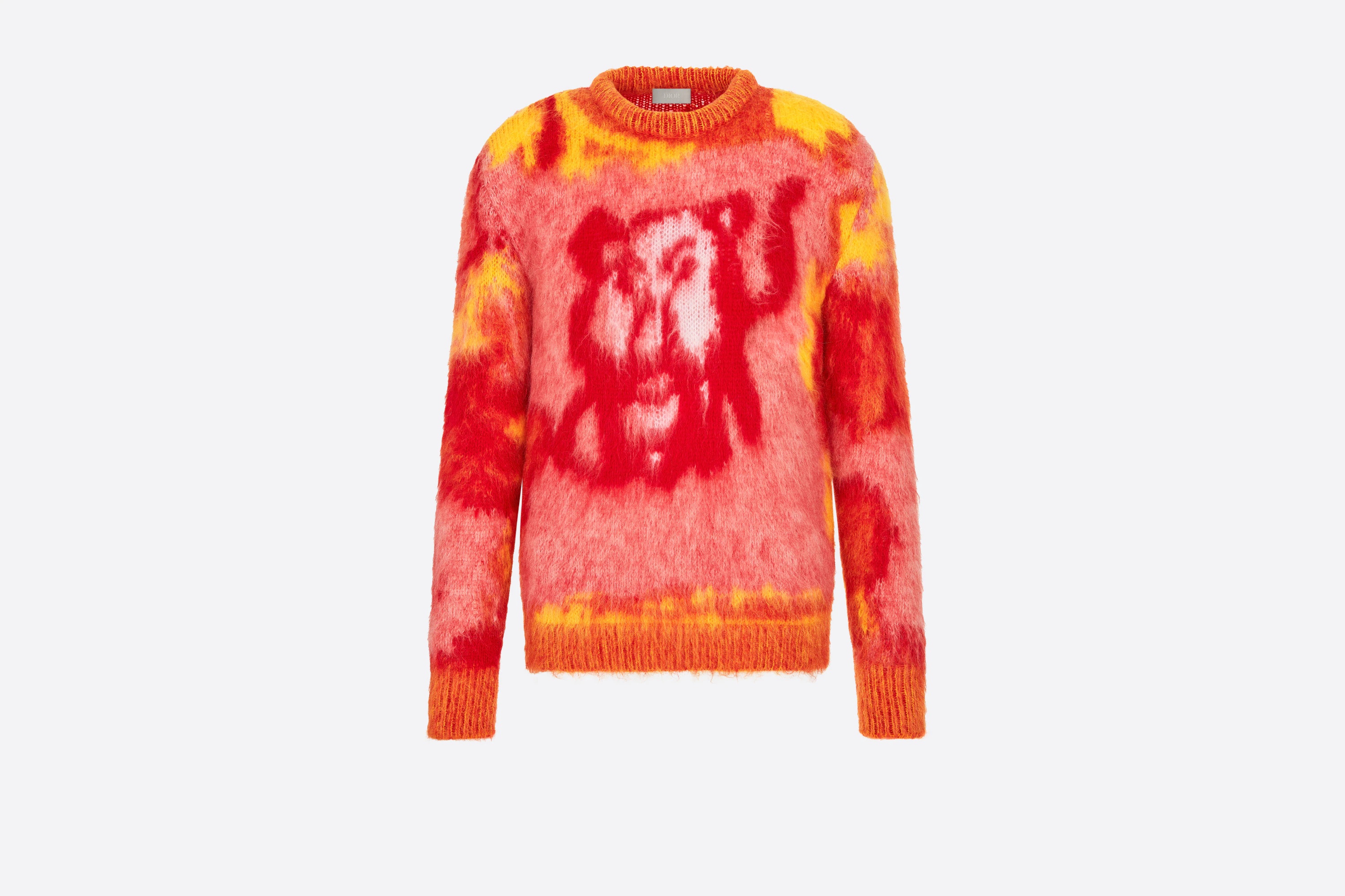 DIOR AND PETER DOIG Sweater - 1