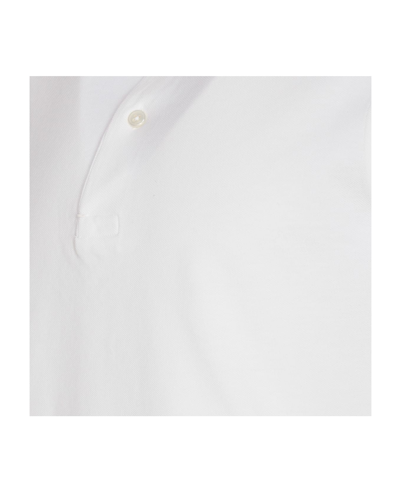 Polo - 3