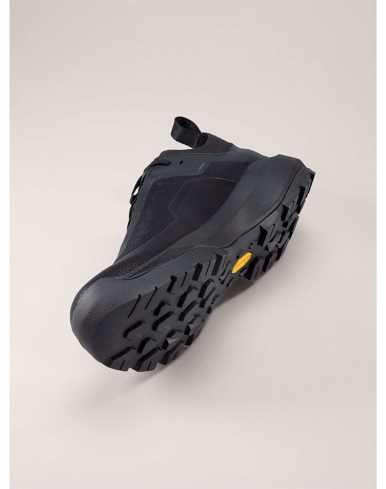 Vertex Alpine GTX Shoe - 5