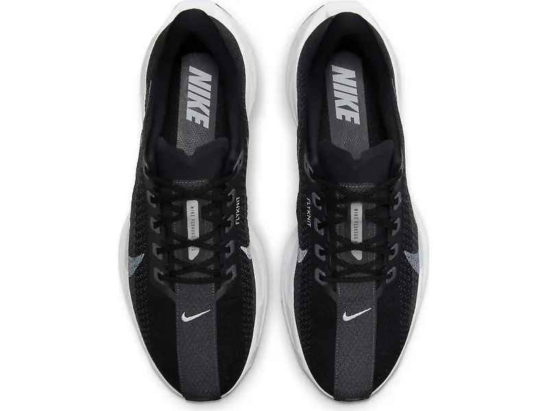 Nike Pegasus Plus - 2