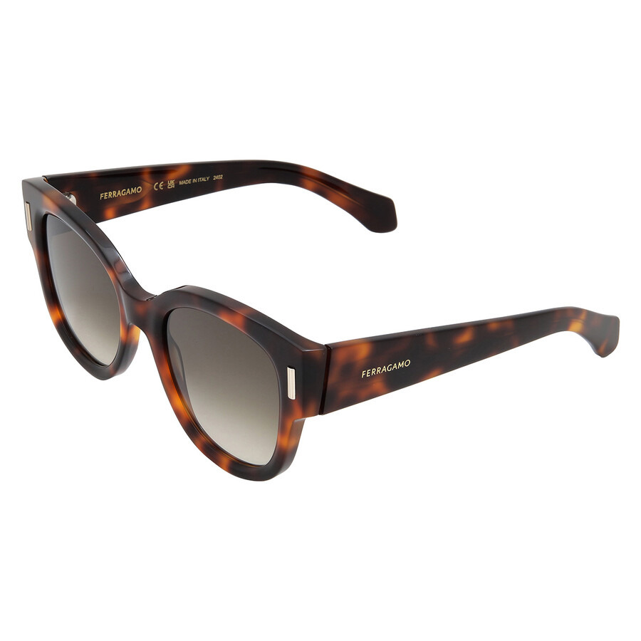Ferragamo Brown Gradient Oval Ladies Sunglasses SF2007S 240 51 - 4