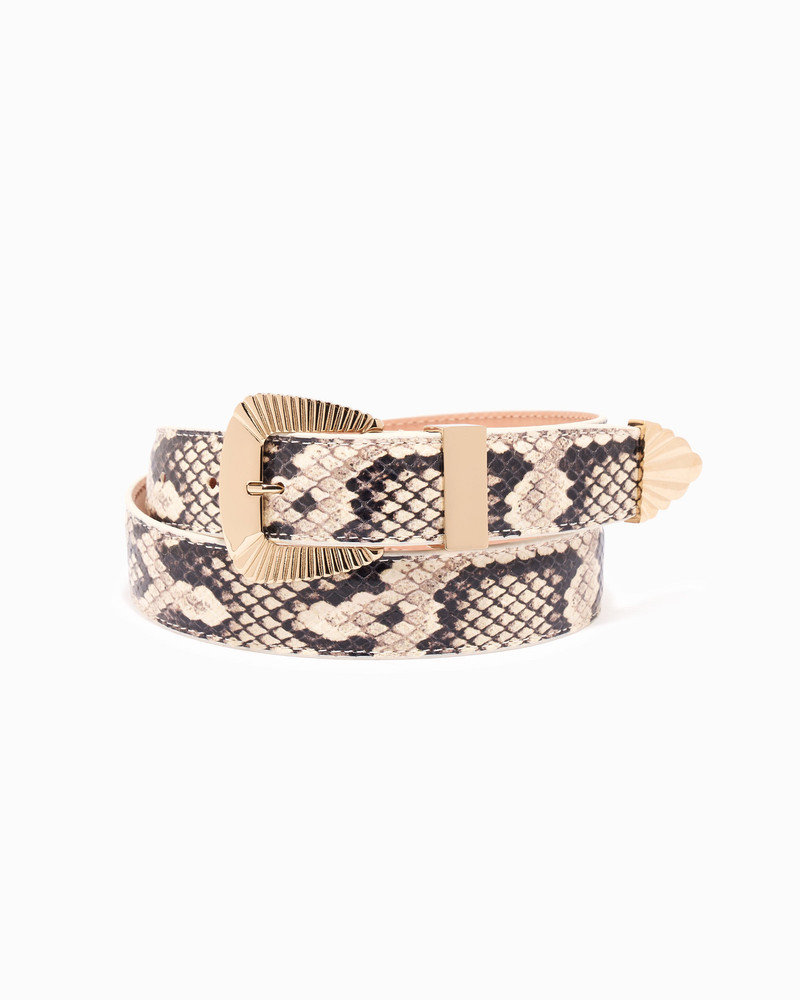 PARTLOW BELT 3