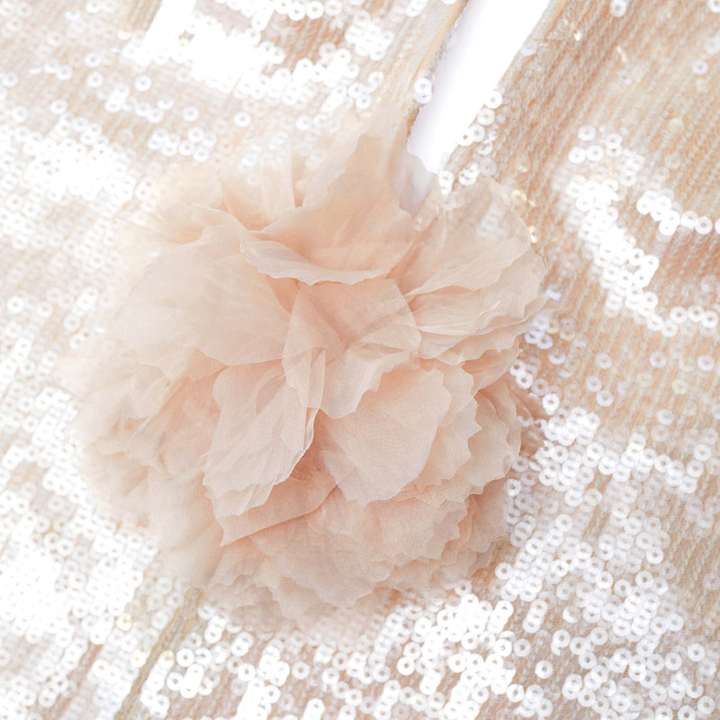 Champagne Sequin Top 5