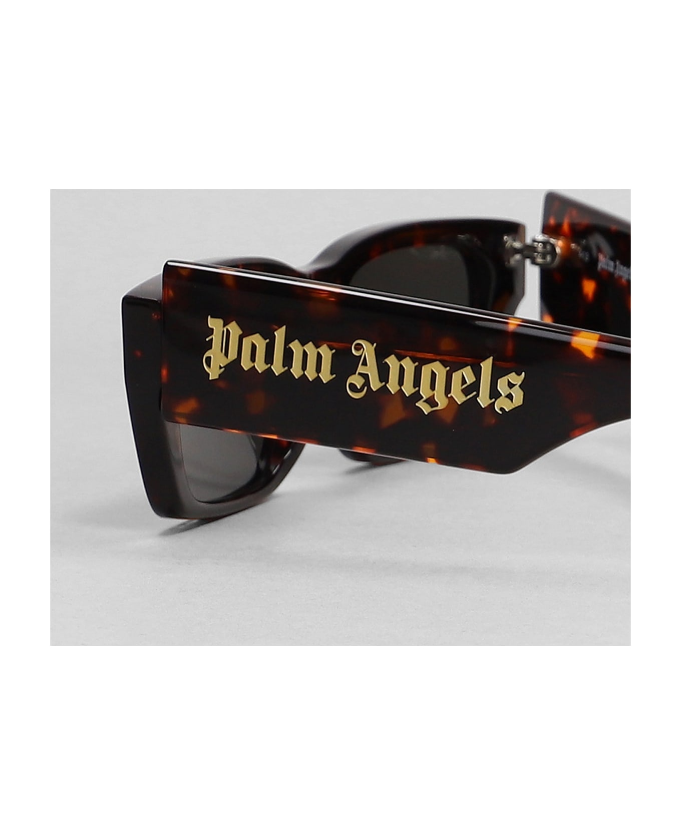 Palm Sunglasses - 4