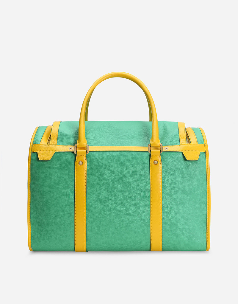 Dog carrier 3