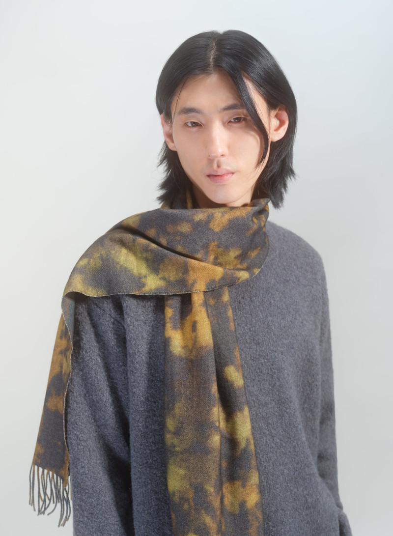 Dries Van Noten WOOL PRINTED SCARF outlook