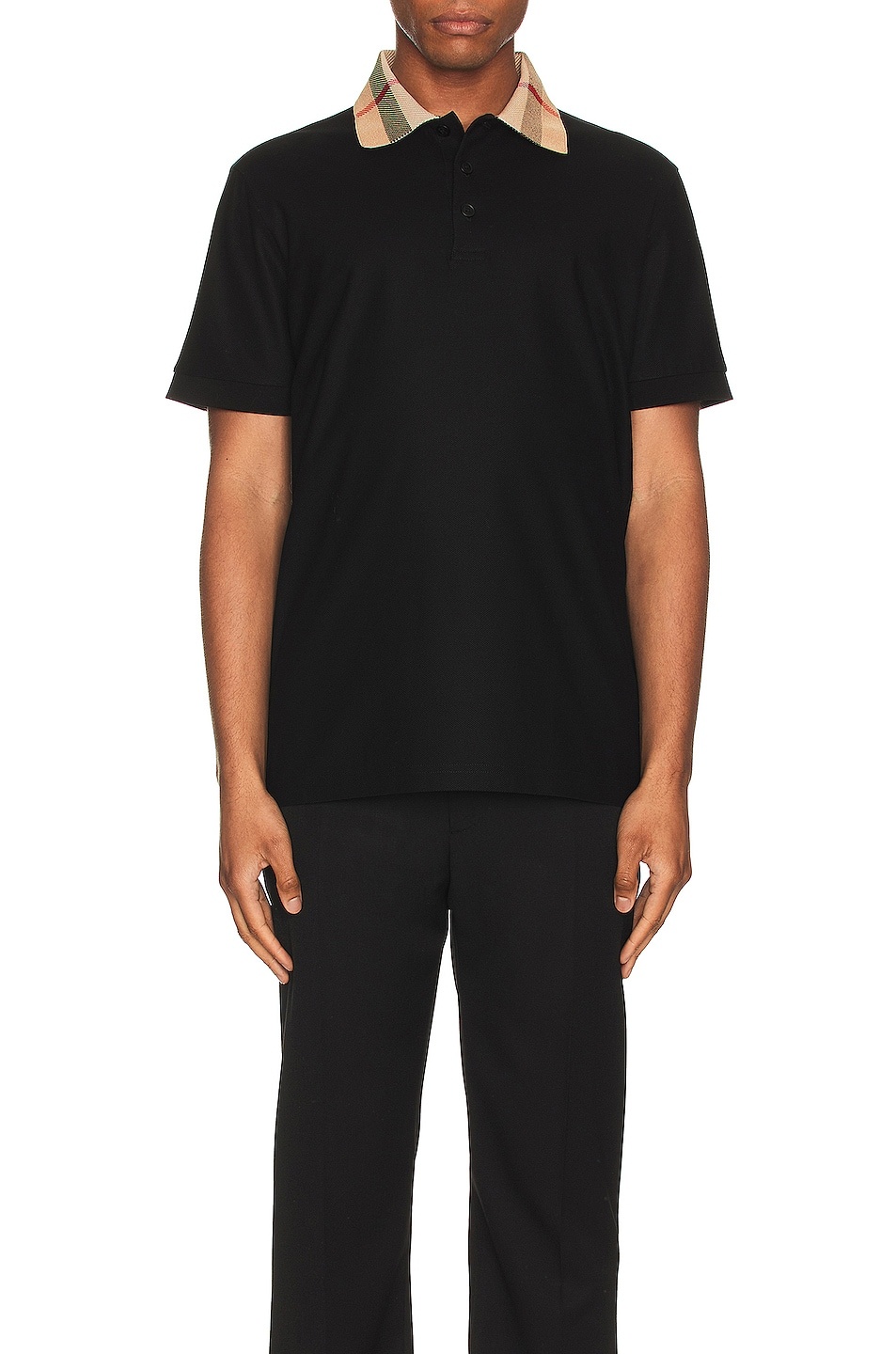 Cody Polo - 3