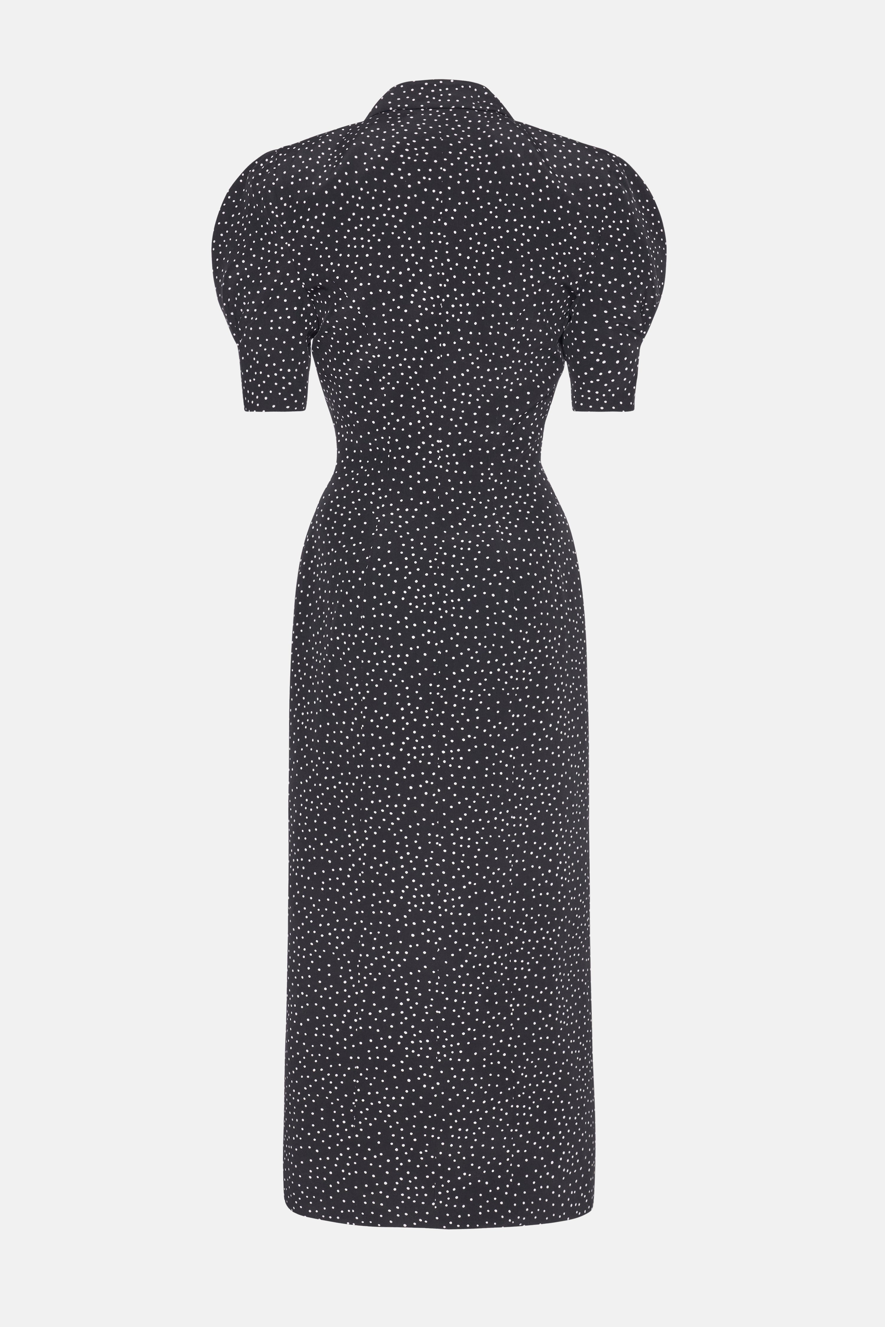 POLKA DOT SILK DOUBLE BREASTED DRESS - 2