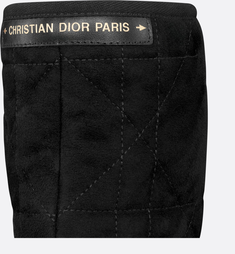 Dior Frost Ankle Boot 5