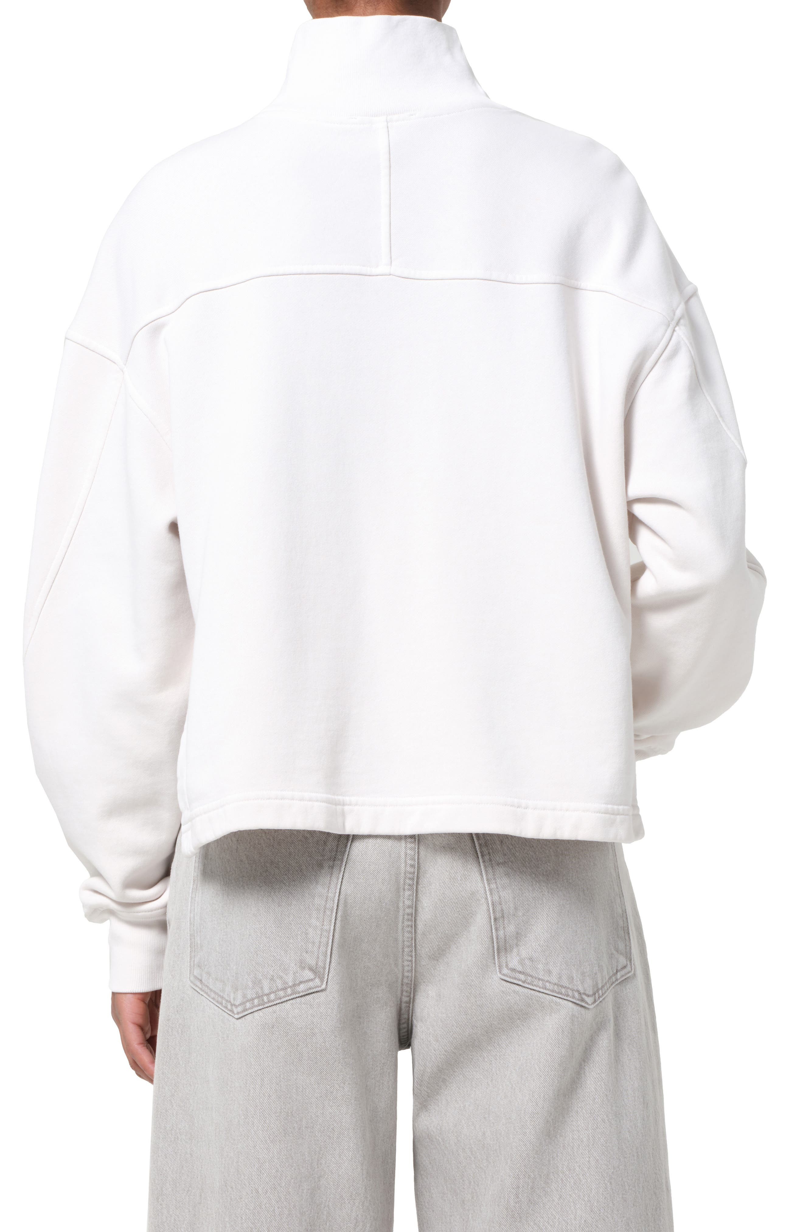 AGOLDE Isra Mock Neck Fleece Cotton Pullover in Wired at Nordstrom - 2