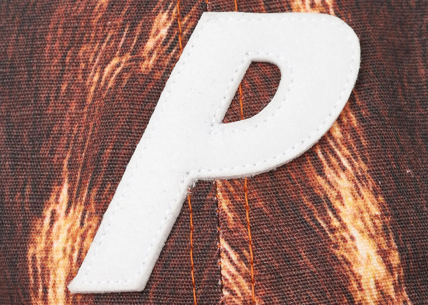 Palace P 6-Panel Deep Print - 3