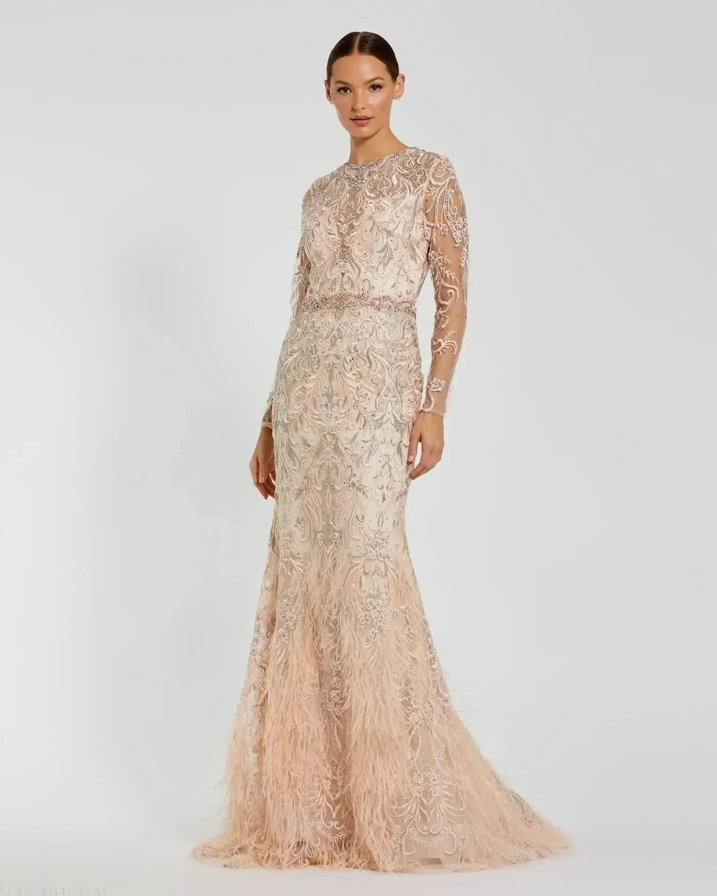 Blush Embroidered Long Sleeve Gown With Feather Hem - 1