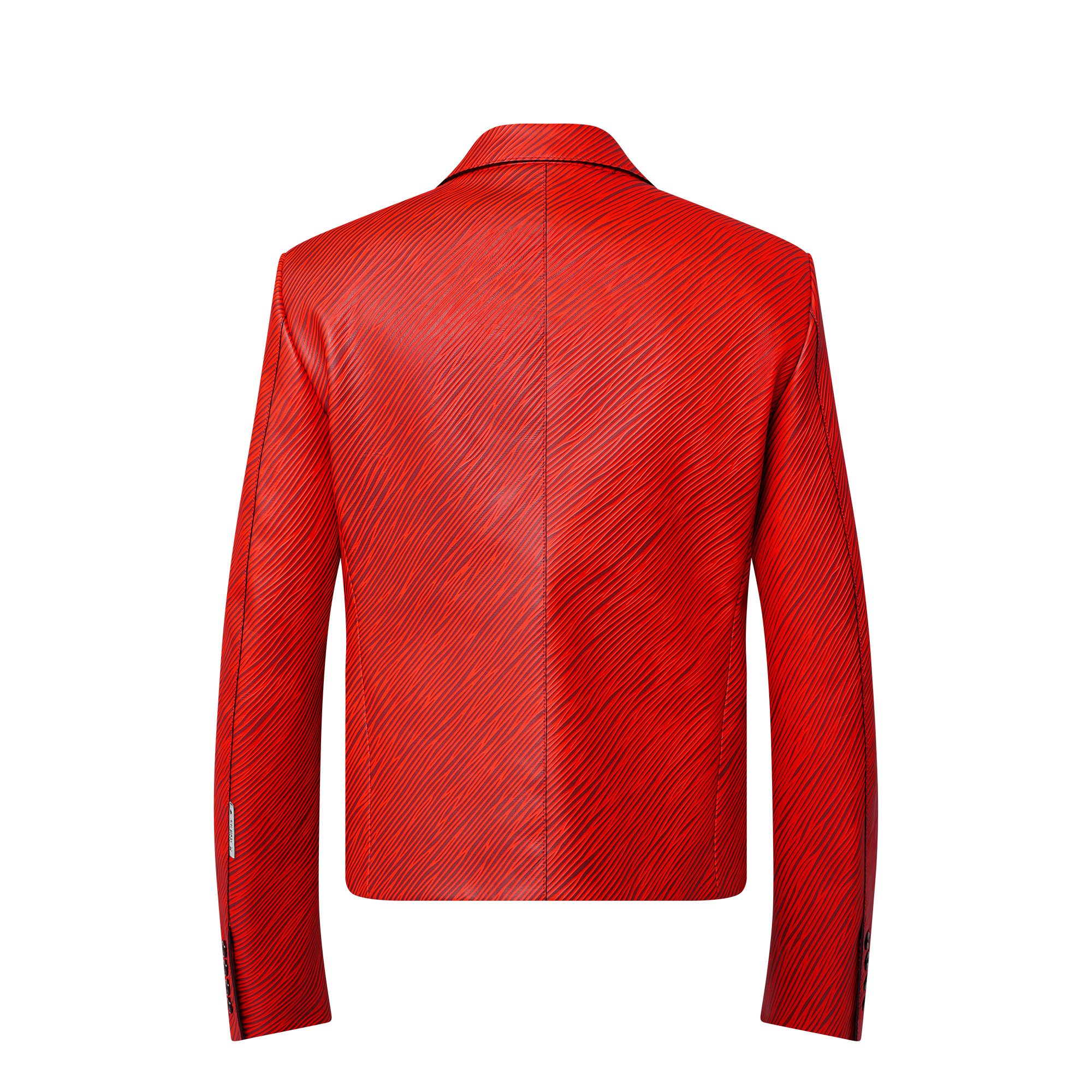 LV x Park Seo-Bo Epi Double-Breasted Leather Jacket - 3
